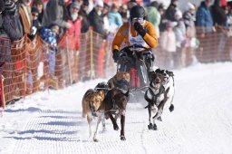 Lenk 2013